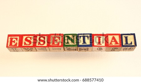 The term essential visually displayed on a white background in landscape format using colorful wooden blocks