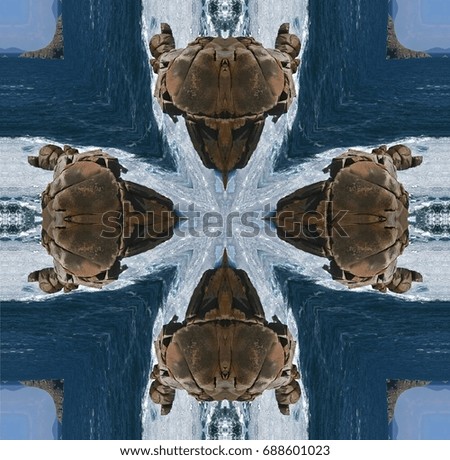 Stone jellyfish, Symmetrical photographs,  magical realism,surreal photography, abstract,magical picture just for crazy