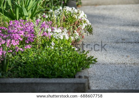 Beautiful flowerbed with different flowers, agriculture background