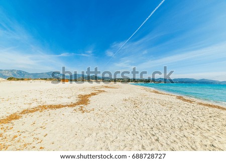 White sand in Porto Giunco shore, Villasimius. Sardinia, Italy