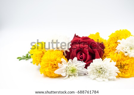 Asia flowers around red rose mean to take care of true love., Isolates background object.