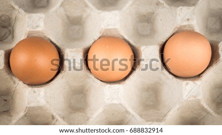 Fresh Eggs in tray isolated over white background. Selective Focus and Close-Up View.