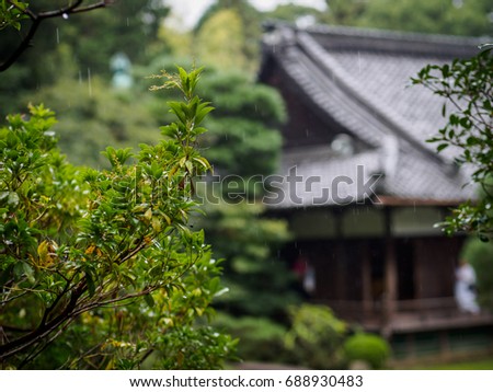 rain in kyoto park with house