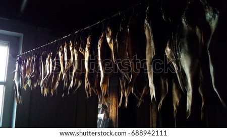 Jerky fish hanging on a rope