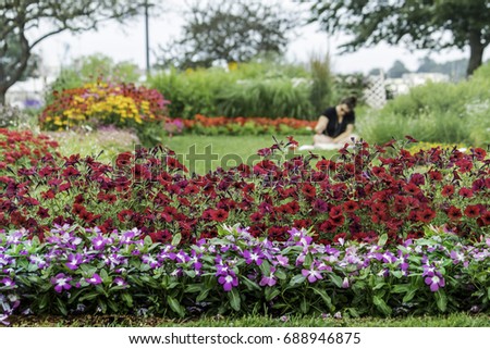 Garden flower in foreground of blurry painter
