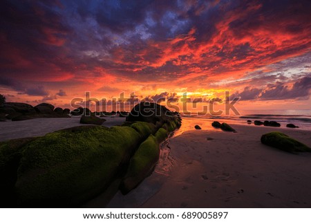 Beautiful twilight Sunset seascape with sea wave hitting the green moss at Kuala Penyu, Sabah, Borneo. Image may contain soft focus and blur due to long exposure.