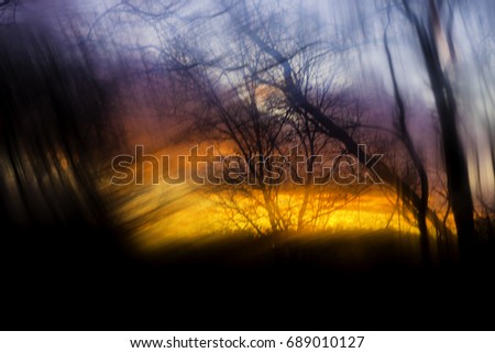 Blurred Background of Tree Silhouettes, Sunset