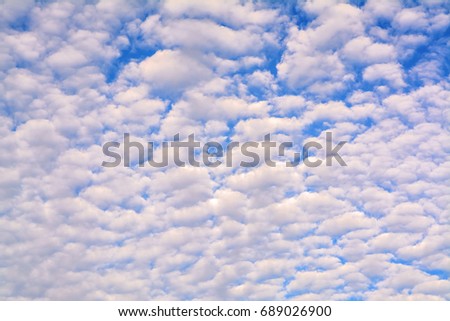 Altocumulus clouds in the blue sky (Middle Clouds)