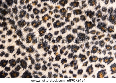 Leopard fur texture background.