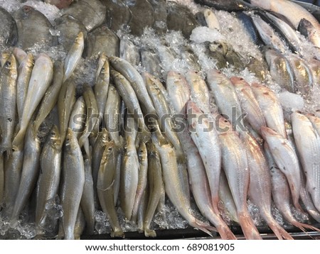 Fish on the ice fish market