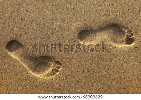footsteps on beach in sandy
