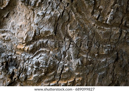 Bark patterned design background