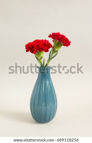 Red Chrysanthemum in blue vase on white background