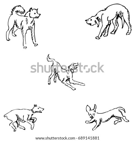 Dogs. Sketch pencil. Drawing by hand image. Raster copy of the image.