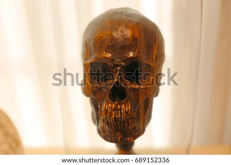Skull in glass tube