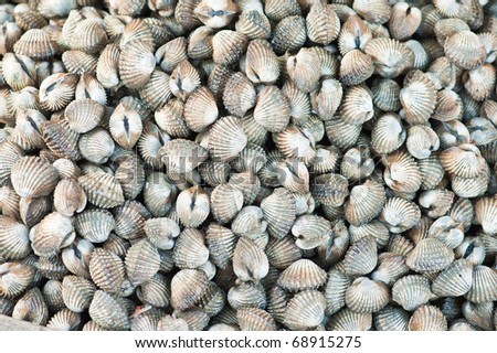 A background of fresh cockles for sale at a market