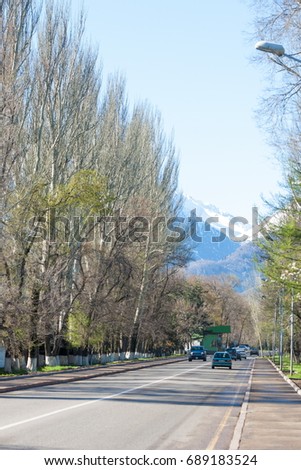 Kazakhstan, Dulati Street, Tien Shan Mountains, Early Spring. Trees without leaves. Bright sunny day