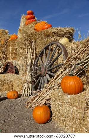 Pumpkin display with straw bales, cornstalks, and old wagon wheel