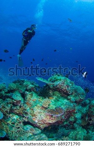 Young diver with coral reef beautiful underwater world.