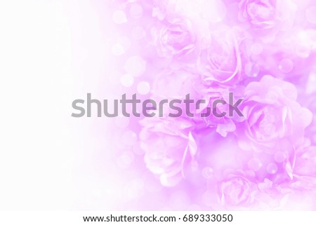 soft purple roses flower vintage background with copy space 