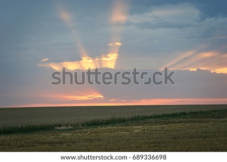 colorful sunrise over a field in summer in germany