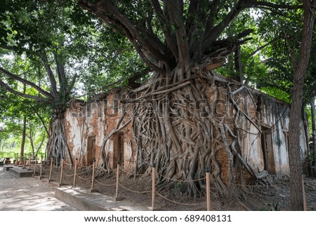 The old church, hundreds of years old, has a large tree roots.