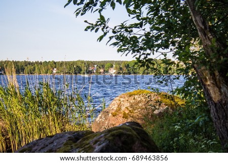 landscape lake for fishing at summer