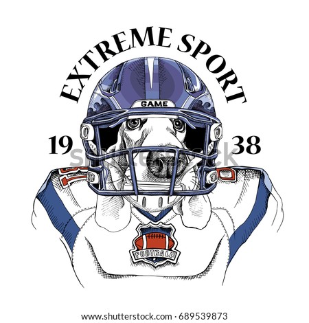 Sport emblem. Basset Hound dog in a blue American Football Helmet and in a uniform. Vector illustration.