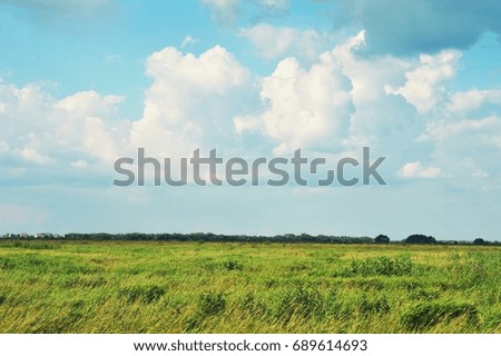 Green field, blue sky, white clouds. Summer nature photography