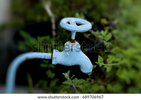 Old iron water faucet in a small garden, The picture was blurred or selective focus.