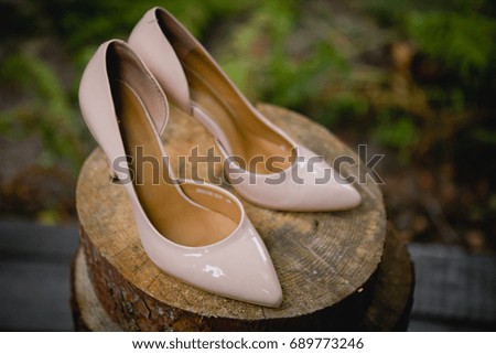 Beautiful new beige lacquered shoes with a pointed toe stand on a wooden pine-tree stand in the garden