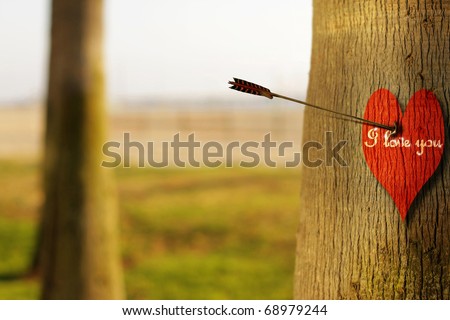 Abstract concept photograph of an arrow piercing a red heart on tree with phrase "I Love You"