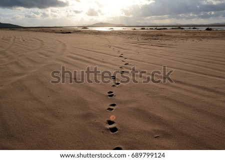 Footprints in the sand. Cape Isle Fake. Primorye. Russia.