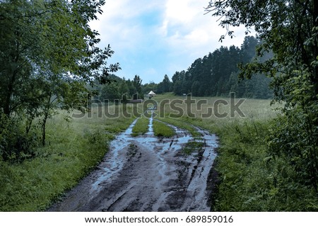 Russian village, roads and puddles, trees. There are clouds in the sky, it's raining.