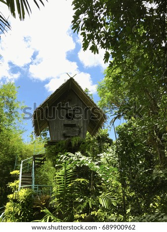 Tree house in the forest and blue sky