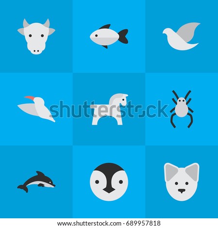 Vector Illustration Set Of Simple Wild Icons. Elements Wolf, Tarantula, Fish And Other Synonyms Pet, Dolphin And Perch.