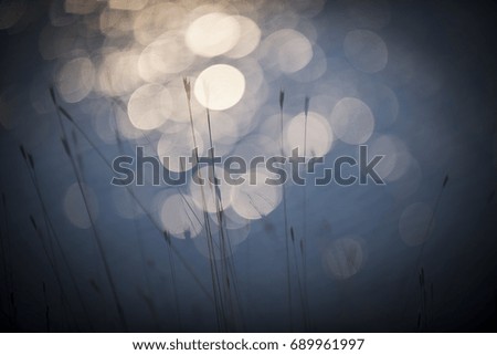 Shine in water background