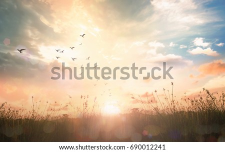World environment day concept: Silhouette birds flying on meadow autumn sunrise landscape background Royalty-Free Stock Photo #690012241