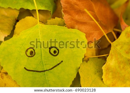 Green leaf with a picture of happy face on the background of yellow fallen autumn foliage
