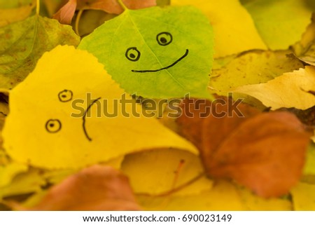 Green and yellow leaves with a picture of happy and sad faces on the background of fallen autumn foliage