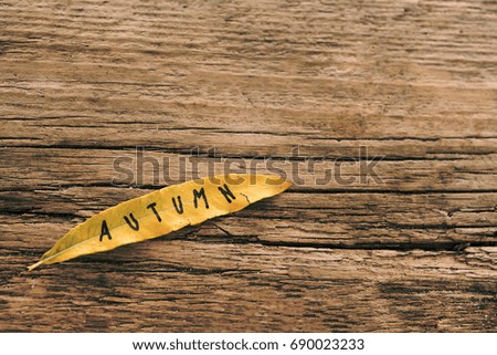 Long yellow leaf with the inscription AUTUMN on the old wooden background with cracks