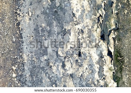 Grunge Concrete Wall Background.