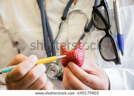 Thyroid gland and doctor. Doctor in white medical lab coat with stethoscope around his neck shows and indicates to the patient on thyroid lobe. Concept photo for use as teaching subject for patient