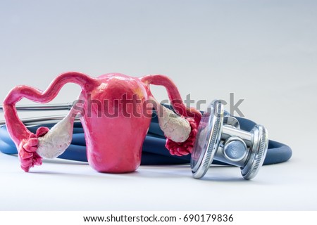 Uterus with ovaries near stethoscope as symbol of health of organ, care, diagnostics medical testing, treatment and prevention of diseases and pathology of this female reproductive organ concept photo