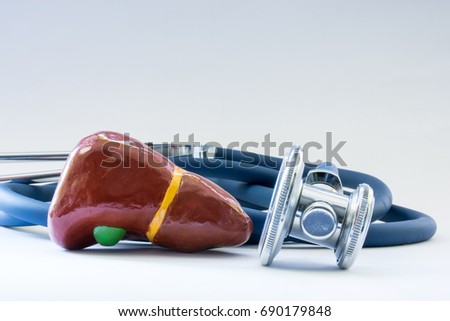 Liver near the stethoscope as a symbol of a health of organ, care, diagnostics, medical testing, treatment and prevention of diseases and pathology of the liver as digestive organ concept photo
