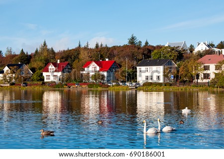 Ducks and geese swimming at the Tjornin lake in Reykjavik. Iceland.   