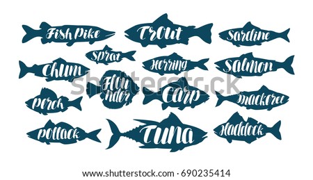 Fish, collection labels or logos. Seafood, food, fishing, angling set icons. Handwritten lettering, calligraphy vector illustration