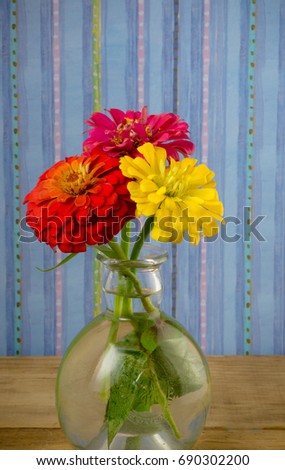 vertical antique glass vase with three stems of zinnias, bright pink, hot orange and yellow isolated on a blue striped background and old wood base. room for copy