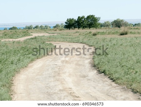 steppe in early summer