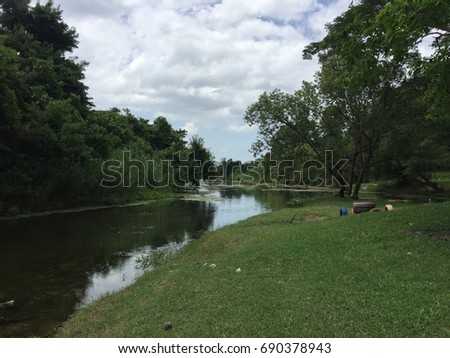 River view with side trees